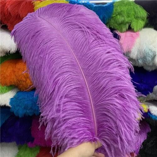 Sale 50pcs/lot Beautiful Ostrich Feather 24-26 Inch(60-65cm) Jewelry Wedding Home Party Christmas Craft Plume Plumes