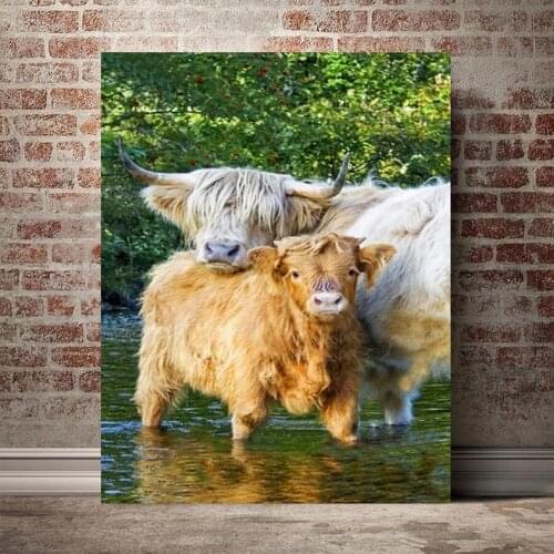DIY Diamond painting 5D Highland Cow Diamonds Embroidery Full square round Drill rhinestone mosaic Wall Art Cattle Animal decor