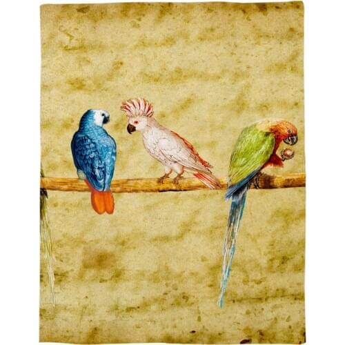Spring Birds Parrot Retro Printed Flannel Blanket Soft Throw Blanket Machine Washable Blankets for Beds Customizable
