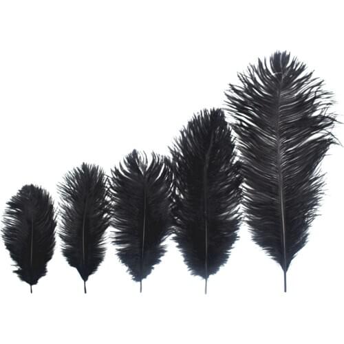 10Pcs/Lot Black Ostrich Feather for Crafts 15-70cm/6-28" Feathers Ostrich Plumes Home Wedding Feather Decoration Carnaval Plumas