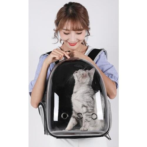 2021 Travel Cat Double Shoulder Bag Breathable Transparent Portable Space Pet Backpack Small Dog Pet Travel Carrier Handbag