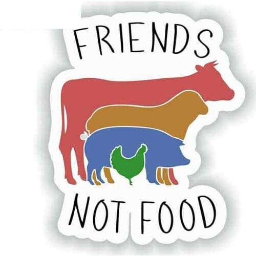 Personality Vegan Friends Not Food Vinyl Graphic Decal Repair Creative Sticker Suitable Apply To Car Window Sticker Good Quality