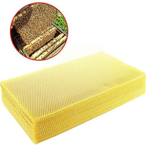 10Pcs/set Natural Honeycomb Bee Wax Foundation Sheets Paper Honeybee Flake Nest Candlemaking Wax Tool Beekeeping Base H2W8