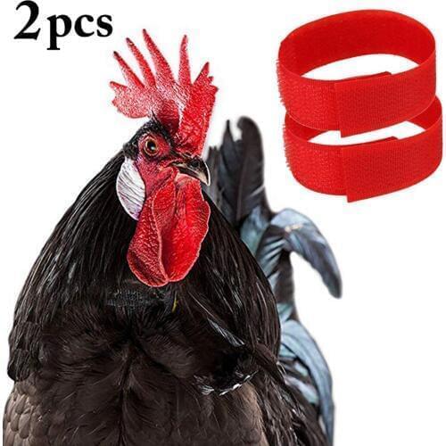 2PCS Rooster Collar Anti-hook Anti Crow Collar Chicken Collar Noise Free Anti-Hook Neckband Collars for Pet Birds Supplies