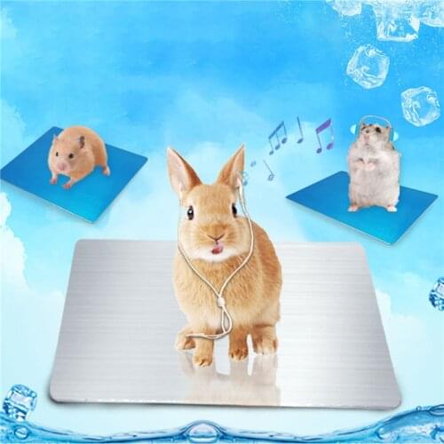 Pet Summer Cooling Plate Aluminum Plate Rabbit Hamster My Neighbor Totoro Ice Pad Cooling Plate Heat Insulation Sheet Summer