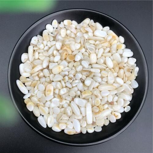 50g 6-9mm Natural Shell Powder Crystal Gravel Rock Gem Stone Bonsai Energy Stone Natural Stones and Minerals