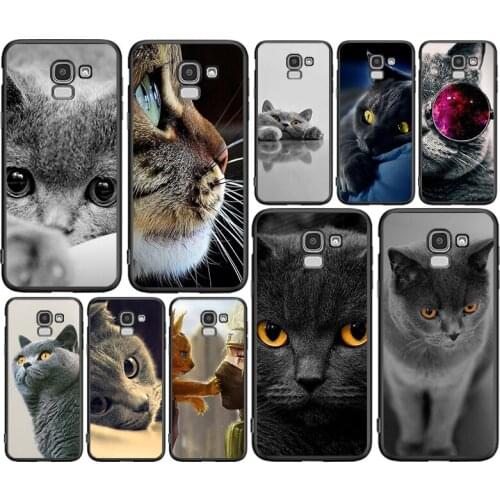 British Shorthair cat For Samsung J8 J7 Duo J730 J6 J5 J530 J4 J3 J330 J2 Core Star Prime 2018 EU Plus Soft TPU Phone Case