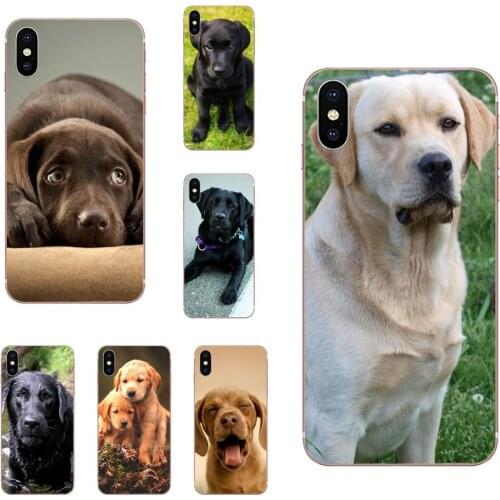 Puppy Labrador Retriever Dog Tpu For Xiaomi Redmi mi10 lite Pro Note 9 PRO Max 9s Mi9 K30 K20 Pro 5G TPU Capa Case