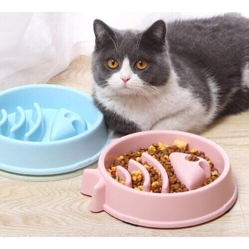 2PCS Pet Slow Feeder Anti-gulping Creative Pet Food Bowl Pet Feeding Bowl Puppy Slow Down Eating Feeder Dish Dogs Supplies