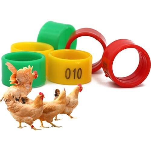 100PCS Chicken Foot Ring Poultry Leg Buckle Identification Ring Digital Label Buckle Ring Plastic Chick Duck Goose Farm Supplies