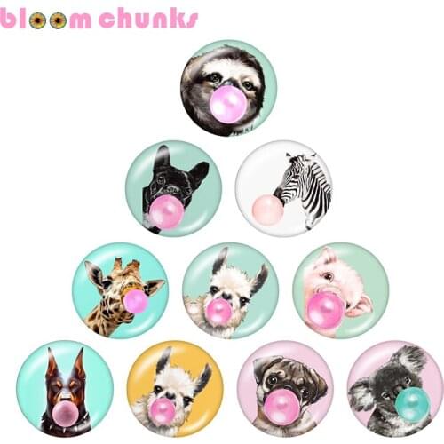 Animal balloon art 10pcs mixed 12mm/18mm/20mm/25mm Round photo glass cabochon demo flat back Making findings A8249