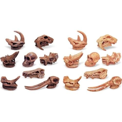 8Pack Realistic Dinosaur Skull Figure Model Figurine Collection Scientific Art Plastics Toys Gift Surprise Party Props G2AE