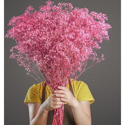 100g Gypsophila Dried Flowers Rustic Artificial Flower Interspersion Mantianxing Fecor For Home Table Wedding Festive Plastic