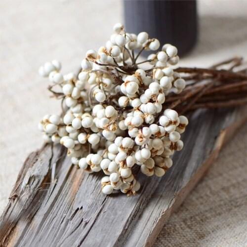 Real Dried White Fruits Bunch,Eternal Natural Display Dry Flower Wedding Deco Marriage Home Room Decoration Table Accessories