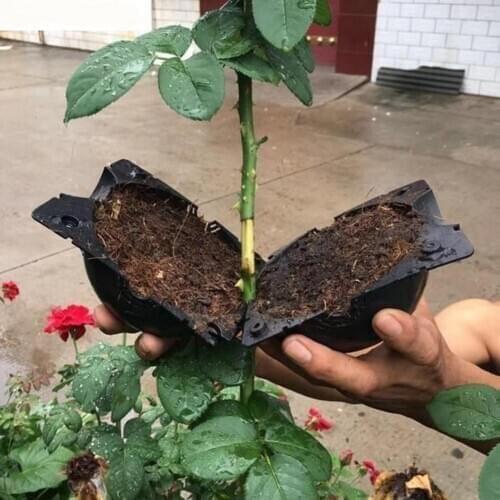 Garden Tools 3pcs Plant Rooting Equipment Propagation Ball High Pressure Case Grafting Plant Propagator Gardening Seedling Tray
