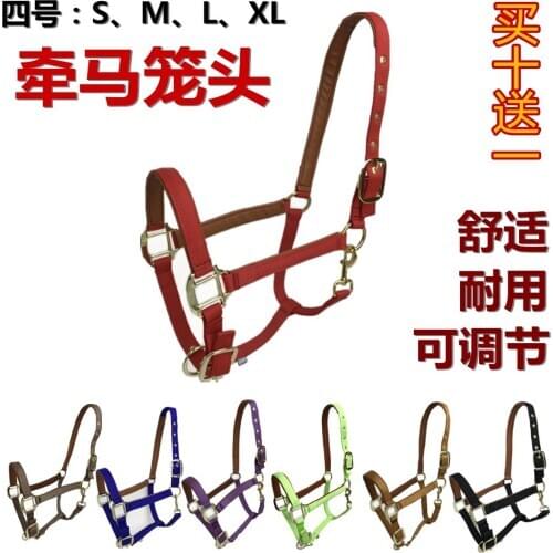 Headstall Harness Horse Small More Emphasis Has Been Placed Damascus With Fine Wear Bibcock Equestrian Horse Headstall