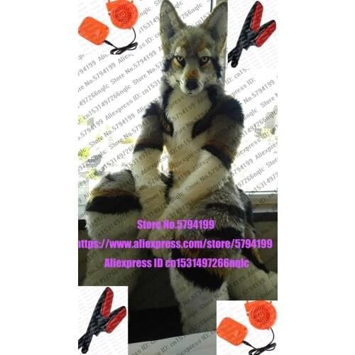 GREY WOLF FREE FANS HUSKY Dog Wolf Furry Fursuit Suit Costume Cosplay Animal Party Fancy Dress Carnival Birthday Gift