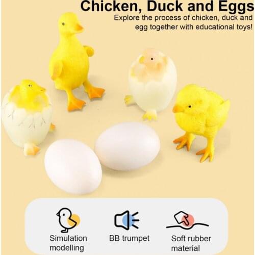 6Pcs Egg shell Toy Interactive High Imitation Lovely Chicken Farm Animal Life Cycle Growth Early Education Model for Children