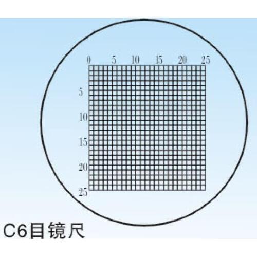C6 0.2mm DIV Glass Stage Eyepiece Slide Scale Measuring Microscope Micrometer Calibration Ruler