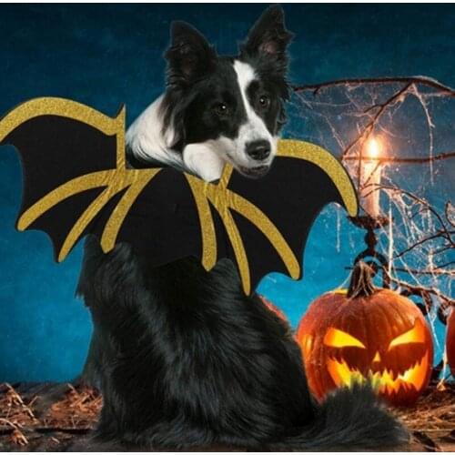 Pet Halloween Cosplay Costume For Puppy Dog Cat Kittens Black Bat Wings For Halloween Party