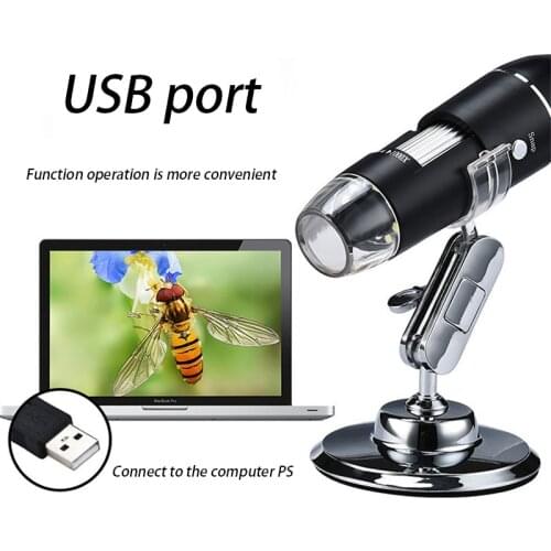 Кроссовки для бега Queenral China At AliExpress