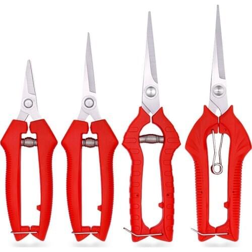 Pruning shrubs, tools, plants, gardening, potted plants, leaf pruning, pruning, gardening, fruit, flower beds, and hand tools su