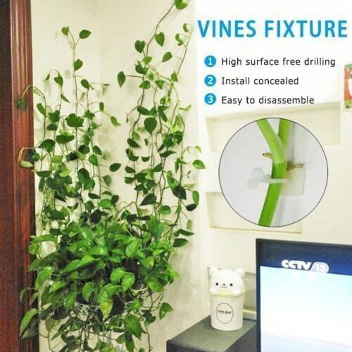 10pcs Invisible Wall Rattan Clamp Clip Invisible Wall Vine Climbing Sticky Hook Rattan Fixed Clip Bracket Plant Stent Supports