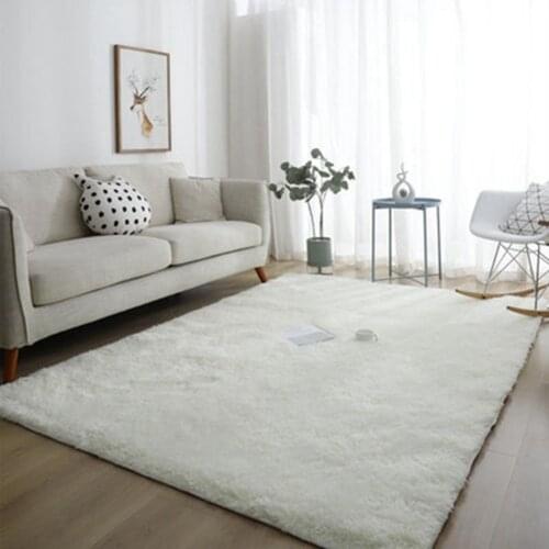 Nordic Fluffy Carpet Anti-Slip Soft Carpets Mat For Office Bedroom Living Room Floor Blanket Center Rug Home Decoratio 60x110cm