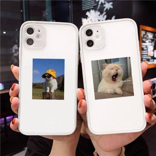 Cat Phone Case Matte For iPhone 12 Mini 11 Pro XR XS Max 7 8 Plus X Hard PC Back Cover