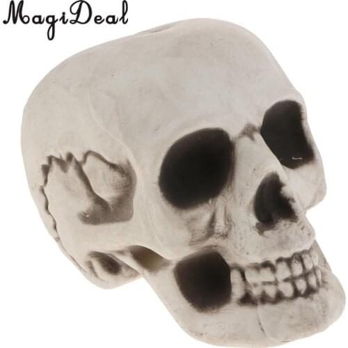 Lifelike Human Skull Head Figurine Skeleton Model Collectible Crafts Halloween Decoration Gift