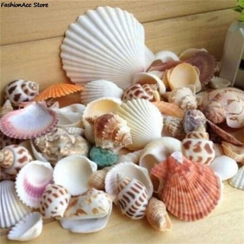 100g Hot Selling DIY Beach Fashion Seashells Sea Shells For Craft Decor Fashion Jewelry Findings Decoration