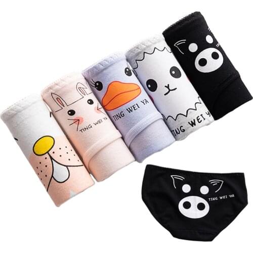5 Pcs/lot Panties Cotton Underwear Womens Cartoon Briefs Seamless Calcinhas Comfort Animal Underpant Girls Panty Sexy Lingeries