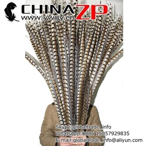 Made in CHINAZP Factory 50pcs/lot Size 100 to 110cm(40 to 42inch)Top Quality Natural Lady Amherst Pheasant Tail Feathers