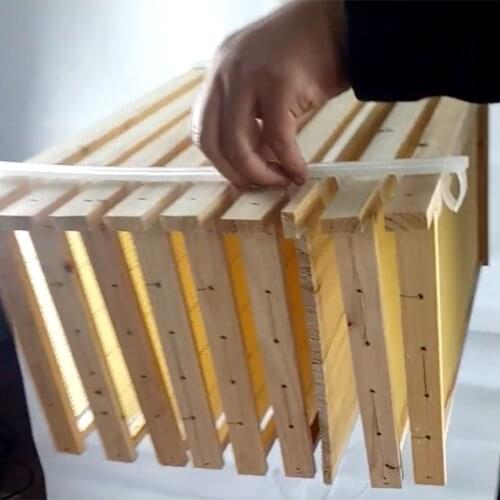 20PCS Beekeeping Spacers Bar Fixed Strip Avoid Beehive Nest Box Frame Divider Agitation Plastic Spacing Supplies Anti-Shaking