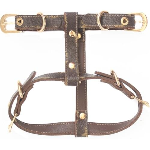 Luxury Dog Collar Pet Harness Vest Puppy Small Large Dog Collar ID Tag Leash Set High Quality Dog Accessories Pitbull Chihuahua