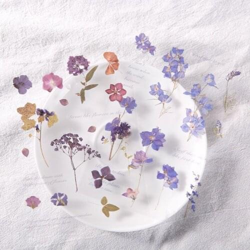 1pc Dry Flower Art Museum Series Plant Creative Hand Account Journal Luggage Material DIY Decorative Stickers