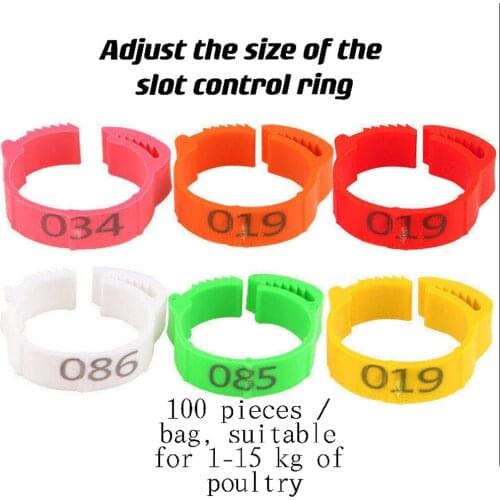 100Pcs Adjustable Chicken Foot Rings Chicken Poultry Flexible Retractable Foot Rings 8 Colors Foot ring labels for farms