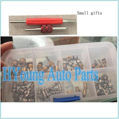 Auto parts Air Conditioning R134a A/C High&Low Pressure Valve Core Cores Assortment with Two Valve Core Tools