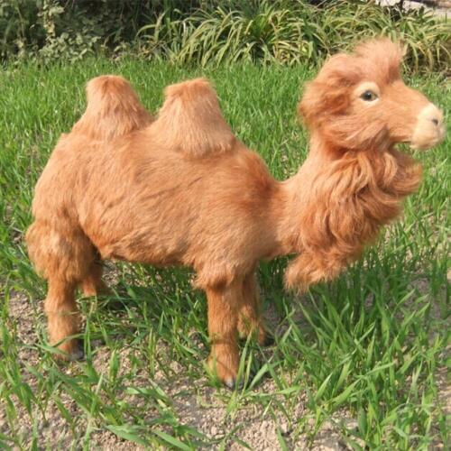 Fancytrader 18’‘ Simulated Bactrian Camel Toys Realistic Desert Animals Doll Teaching Props Xmas Gifts 45cmX35cm
