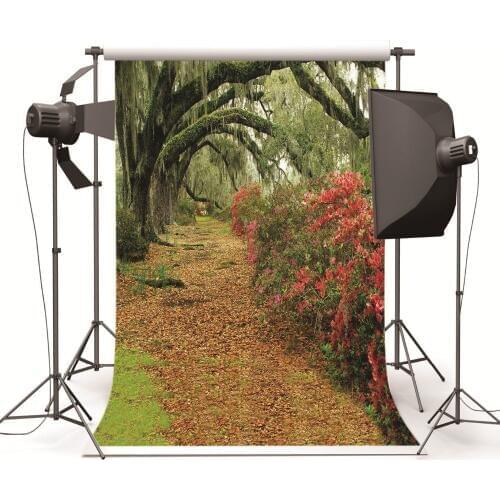 Forest Old Tree Vinyl Photography Background Customize Backdrops Computer Digital Printing Background for photo Studio Wedding
