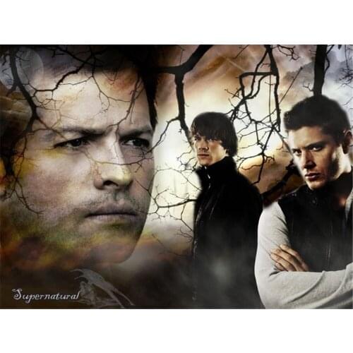 Supernatural DIY Embroidery Cross Stitch 11CT Kits Needlework Craft Set Printed Canvas Cotton Thread Home Dropshipping