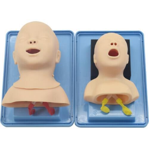 Neonatal Trachea Intubation Training Model, Oral Intubation Trainer
