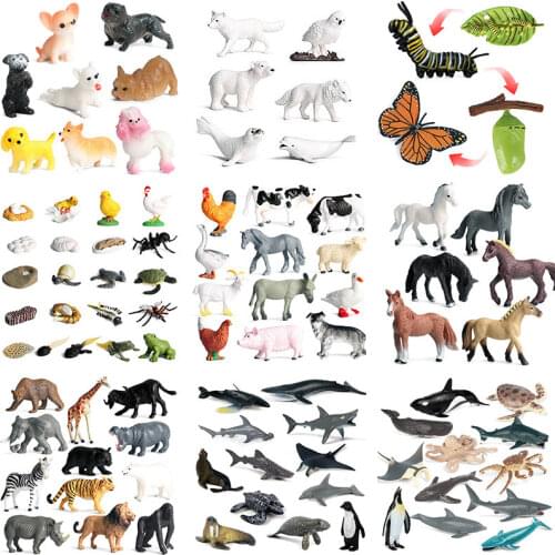 Simulation Animals Insects Growth Cycle Model Figures Butterfly Ladybug Frog Honeybee Ant Turtle Spider Educational Toy for Kids