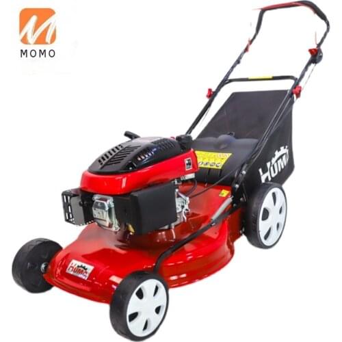 Luxury Power Lawn Pruning Machine Hand Push Weeding Machine Property Lawn Machine Gasoline Engine Mower