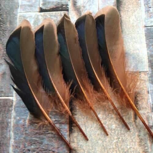 20pcs Beautiful Coffee Natural Duck Feathers 10-15 cm/4-6 inches DIY Jewelry Hat Craft Making Decoration Accessories