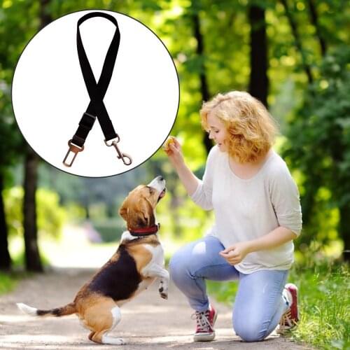 TTLIFE Leashes For Dogs