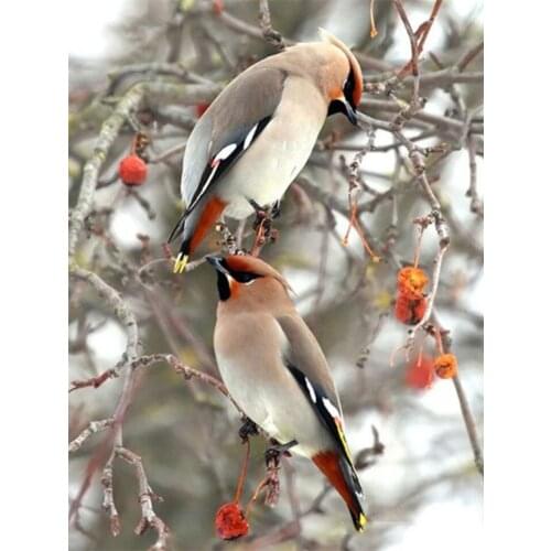 5D Diamond Painting Cross Stitch Bird Full Square Drill Diamond Mosaic Animal Diamond Embroidery Rhinestones Pictures Home Decor