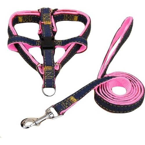 Cute dog Collars, Harnesses And Leashes