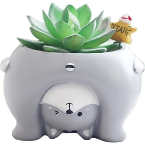 Micro Natural Resin Flower Pot Nverted Animal Design Meat Plant Flower Pot Garden Home Office Deco