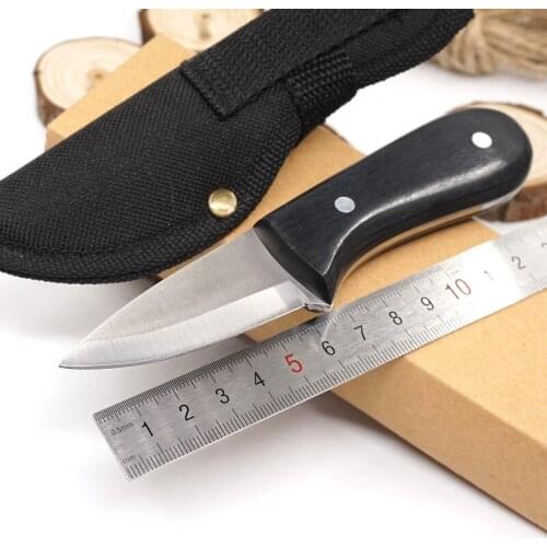 Outdoor Fixed Blade Hunting Knife Small Straight Knife 440C Blade Wood Handle Survival Tactical Knives Camping Hiking EDC Tools